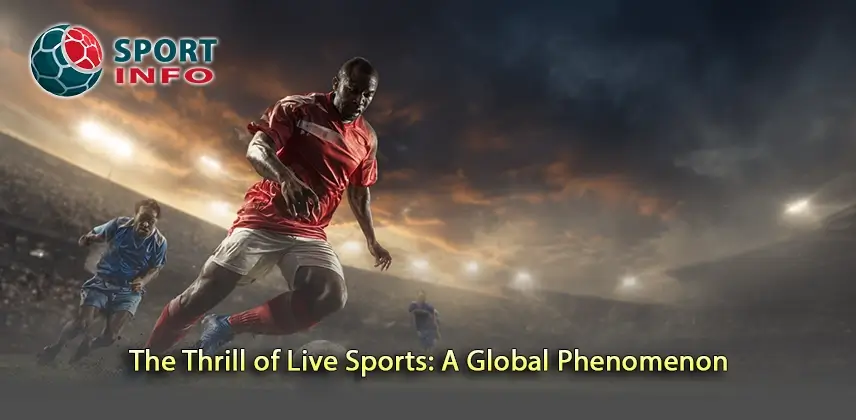Discover the Excitement of Live Sports Around the World